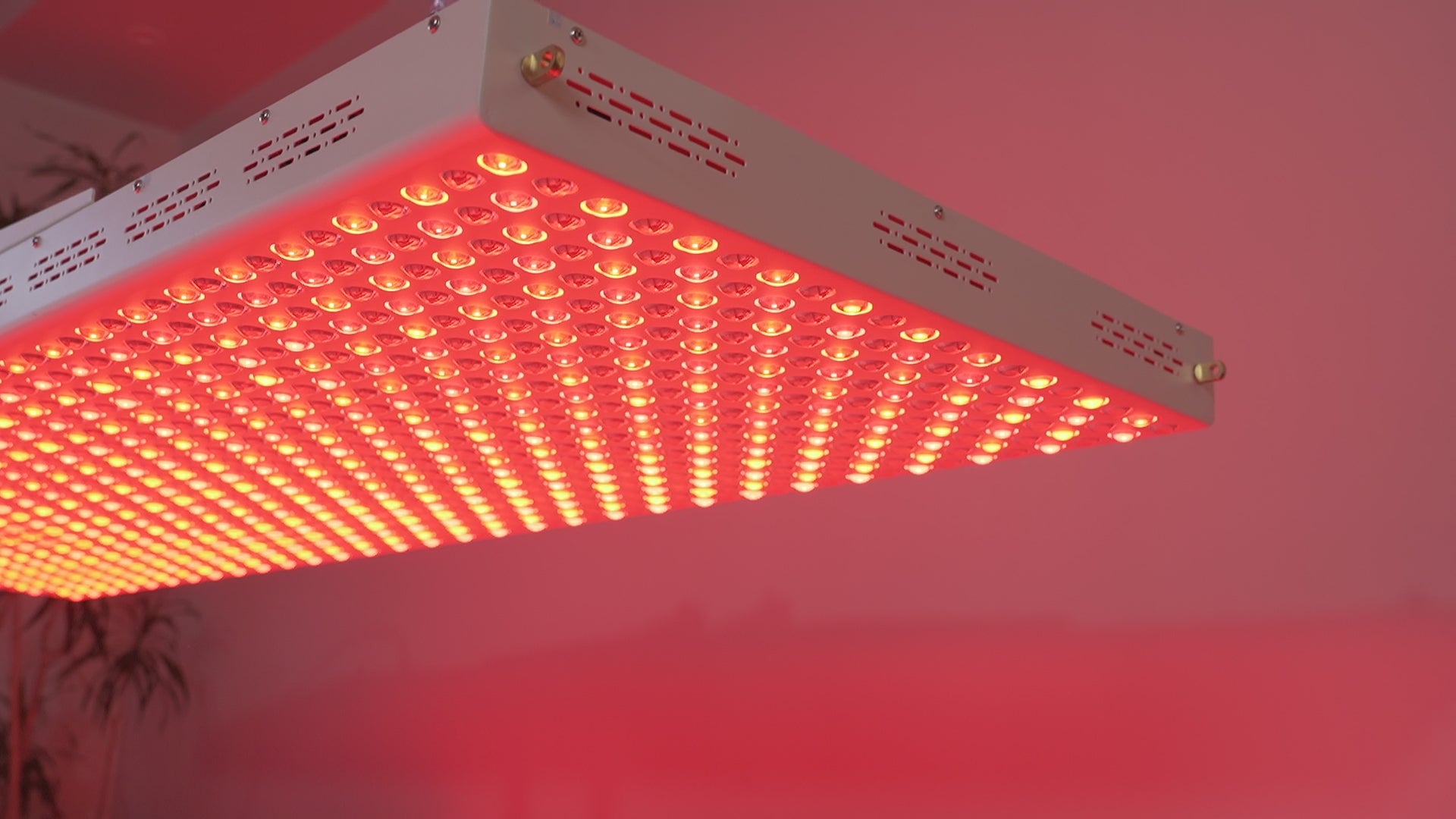 RedGenerate Elite™ Full Body LED Light Panel luma3000